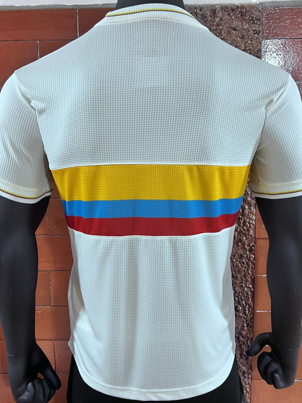 CAMISETA COLOMBIA 100 AÑOS VERSIONPLAYER